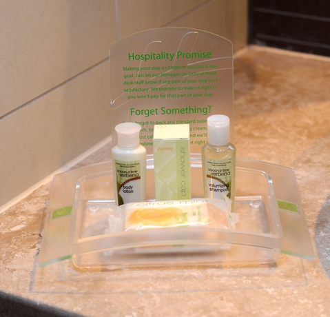 Imagen de la habitación del Hotel Holiday Inn Santiago - Airport Terminal. Foto 8