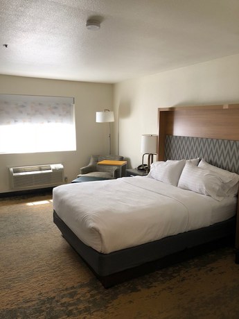 Imagen de la habitación del Hotel Holiday Inn Selma - Swancourt, an IHG. Foto 8