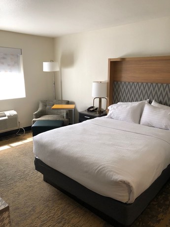 Imagen de la habitación del Hotel Holiday Inn Selma - Swancourt, an IHG. Foto 11