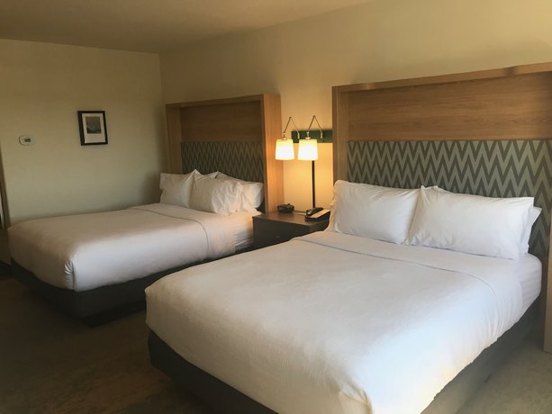 Imagen de la habitación del Hotel Holiday Inn Selma - Swancourt, an IHG. Foto 12