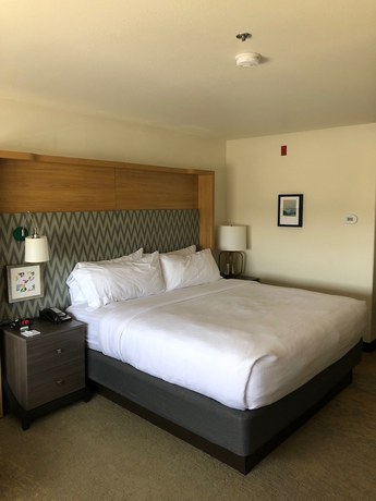 Imagen de la habitación del Hotel Holiday Inn Selma - Swancourt, an IHG. Foto 17