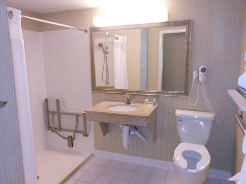 Imagen de la habitación del Hotel Holiday Inn South Burlington. Foto 3