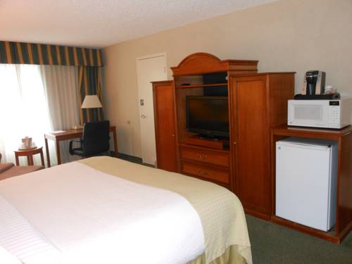 Imagen de la habitación del Hotel Holiday Inn South Burlington. Foto 4