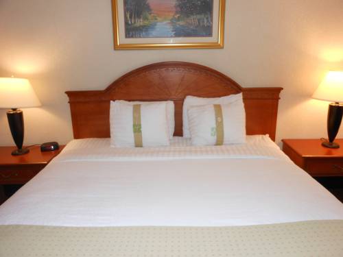 Imagen de la habitación del Hotel Holiday Inn South Burlington. Foto 9