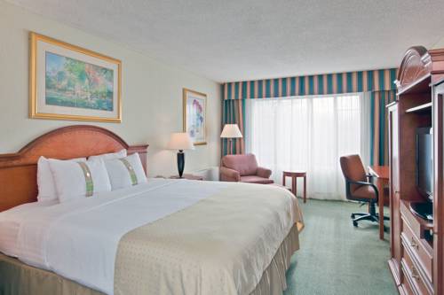 Imagen de la habitación del Hotel Holiday Inn South Burlington. Foto 13