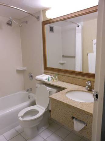 Imagen de la habitación del Hotel Holiday Inn South Burlington. Foto 14