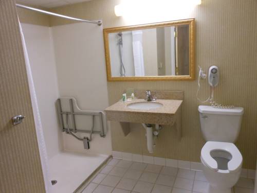 Imagen de la habitación del Hotel Holiday Inn South Burlington. Foto 16