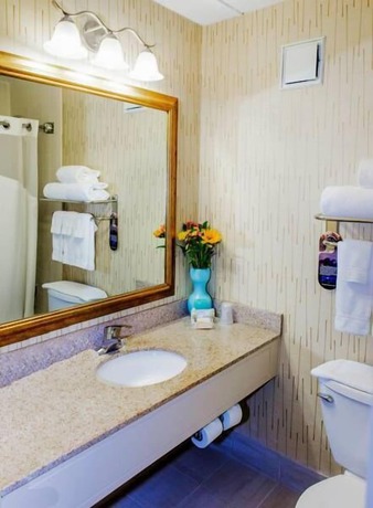 Imagen de la habitación del Hotel Holiday Inn South Kingstown (Newport Area), an IHG. Foto 7