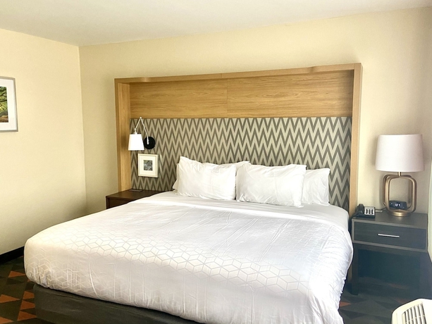 Imagen de la habitación del Hotel Holiday Inn Spartanburg Northwest, An Ihg. Foto 10