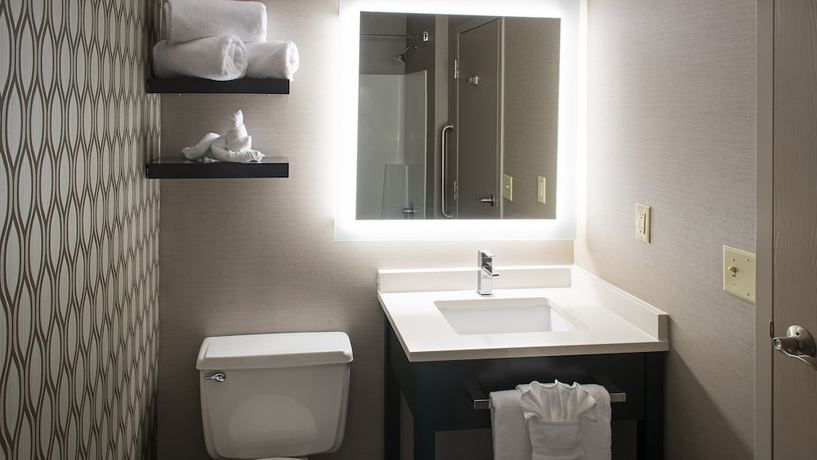 Imagen de la habitación del Hotel Holiday Inn St. Paul Downtown, An Ihg. Foto 9