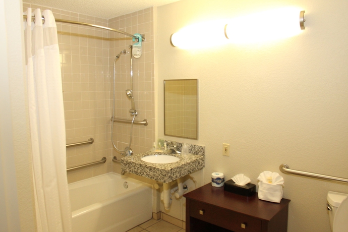 Imagen de la habitación del Hotel Holiday Inn St Petersburg N - Clearwater, An Ihg. Foto 8