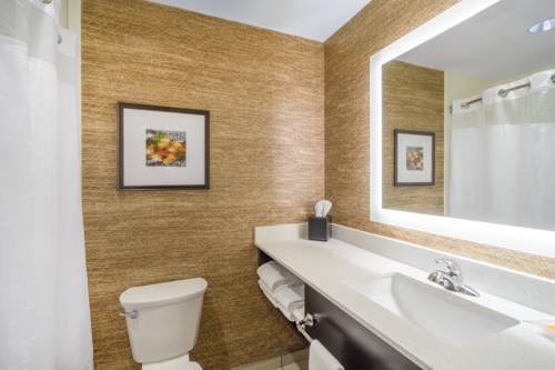 Imagen de la habitación del Hotel Holiday Inn Terre Haute, An Ihg. Foto 1