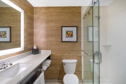 Imagen de la habitación del Hotel Holiday Inn Terre Haute, An Ihg. Foto 2
