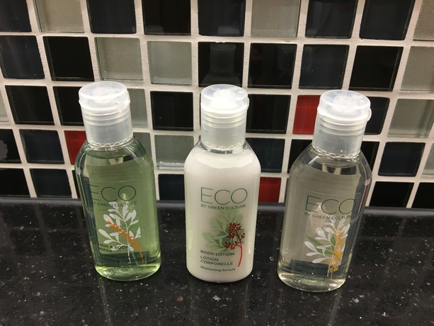 Imagen de la habitación del Hotel Holiday Inn The Hague Voorburg, An Ihg. Foto 15