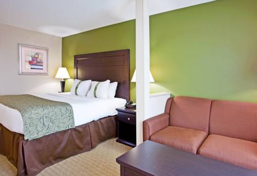 Imagen de la habitación del Hotel Holiday Inn Toledo-maumee (i-80/90), An Ihg. Foto 11