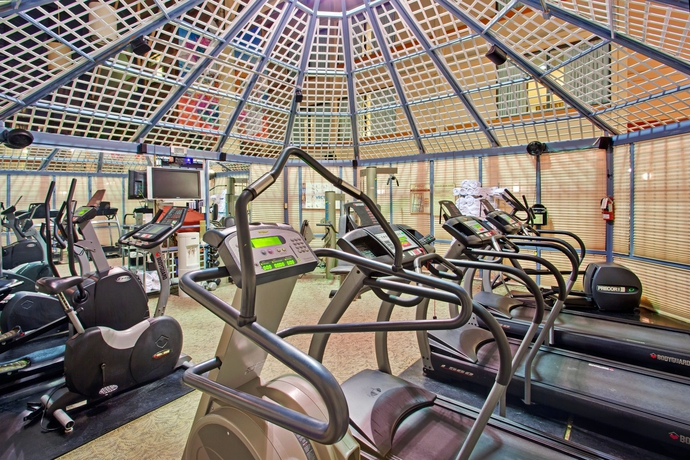 Imagen de los interiores del Hotel Holiday Inn Toronto-yorkdale. Foto 9