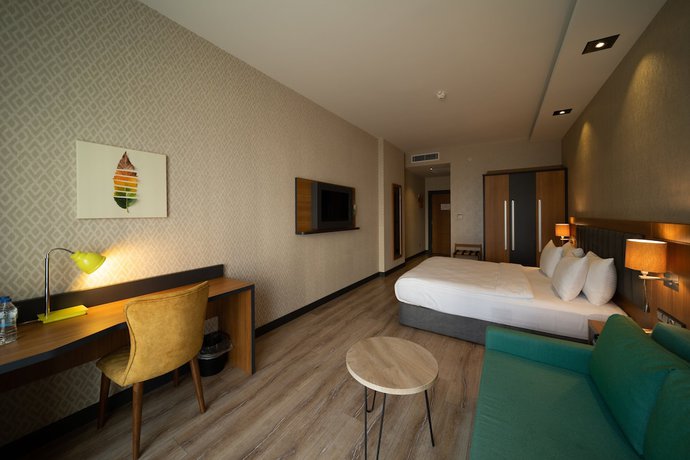 Imagen de la habitación del Hotel Holiday Inn Trabzon East, an IHG. Foto 10