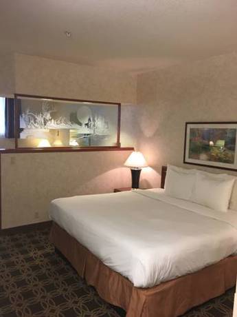 Imagen de la habitación del Hotel Holiday Inn Twin Falls, An Ihg. Foto 3