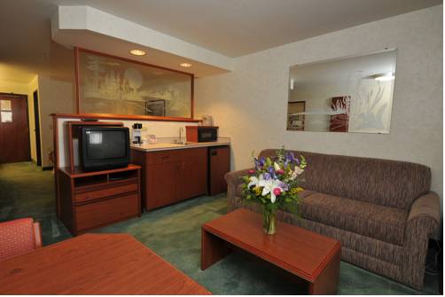 Imagen de la habitación del Hotel Holiday Inn Twin Falls, An Ihg. Foto 5