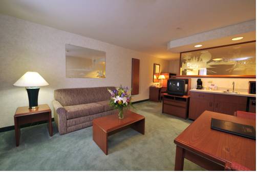Imagen de la habitación del Hotel Holiday Inn Twin Falls, An Ihg. Foto 6