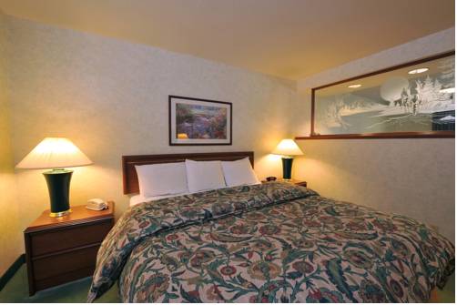Imagen de la habitación del Hotel Holiday Inn Twin Falls, An Ihg. Foto 7