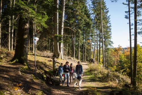 Imagen general del Hotel Holiday Inn Villingen Schwenningen. Foto 5
