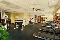 Imagen general del Hotel Holiday Inn Washington-Dulles Intl Airport. Foto 5