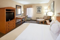 Imagen general del Hotel Holiday Inn Washington-Dulles Intl Airport. Foto 7