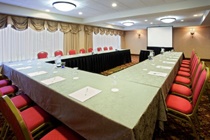 Imagen general del Hotel Holiday Inn Washington-Dulles Intl Airport. Foto 10