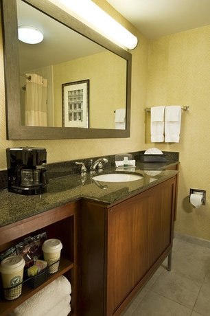 Imagen de la habitación del Hotel Holiday Inn Washington-dulles International Airport, An Ihg. Foto 3