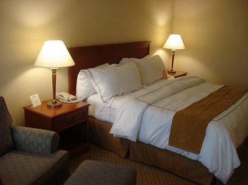 Imagen de la habitación del Hotel Holiday Inn Williamsport, An Ihg. Foto 7