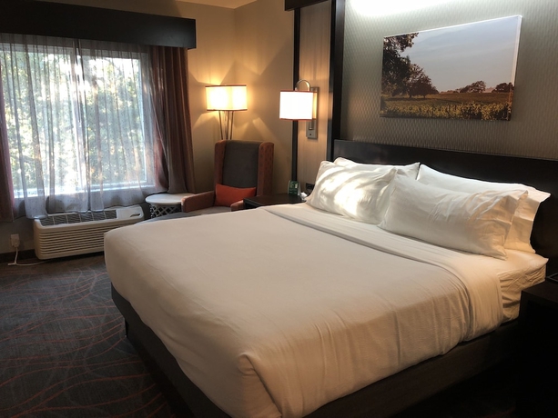 Imagen de la habitación del Hotel Holiday Inn Windsor - Wine Country. Foto 14