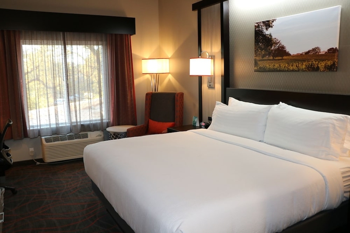 Imagen de la habitación del Hotel Holiday Inn Windsor - Wine Country. Foto 15