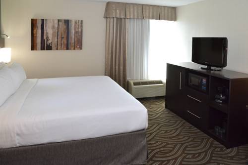Imagen de la habitación del Hotel Holiday Inn Youngstown-south - Boardman. Foto 1