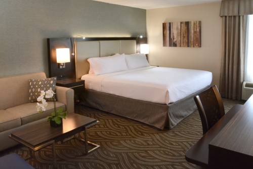 Imagen de la habitación del Hotel Holiday Inn Youngstown-south - Boardman. Foto 2
