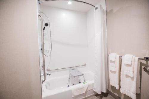 Imagen general del Hotel Holiday Inn & Suites Calgary South - Conference Ctr by IHG. Foto 2