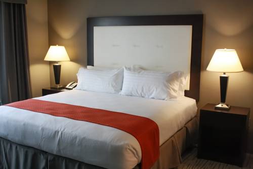 Imagen de la habitación del Hotel Holiday Inn & Suites Davenport. Foto 4
