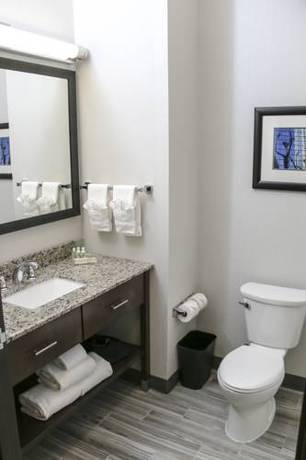 Imagen de la habitación del Hotel Holiday Inn & Suites Denver Tech Center-cent. Foto 2