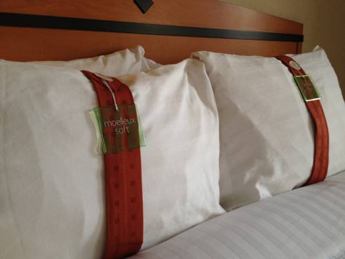 Imagen de la habitación del Hotel Holiday Inn & Suites Osoyoos. Foto 2
