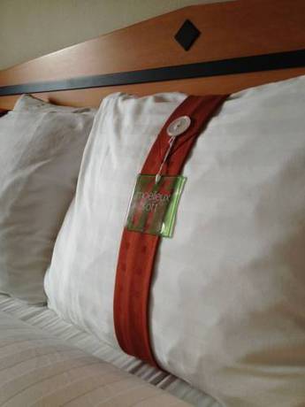 Imagen de la habitación del Hotel Holiday Inn & Suites Osoyoos. Foto 13