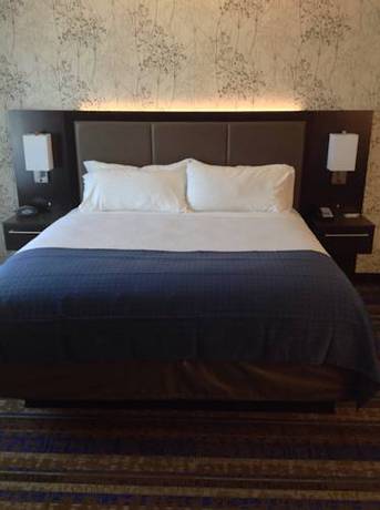 Imagen de la habitación del Hotel Holiday Inn & Suites Tupelo North. Foto 3