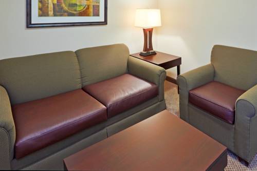 Imagen de la habitación del Hotel Holiday Inn & Suites Waco Northwest. Foto 7