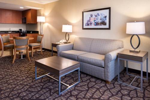 Imagen general del Hotel Holiday Inn & Suites Warren. Foto 1