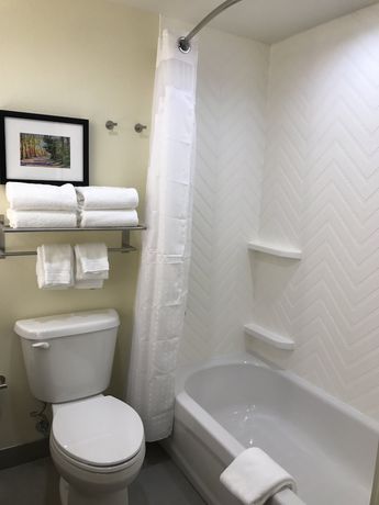 Imagen de la habitación del Hotel Holiday Inn and Suites Arden - Asheville Airport. Foto 8