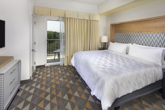 Imagen de la habitación del Hotel Holiday Inn and Suites Arden - Asheville Airport. Foto 10