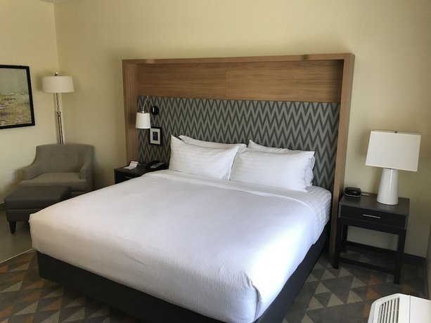 Imagen de la habitación del Hotel Holiday Inn and Suites Arden - Asheville Airport. Foto 13