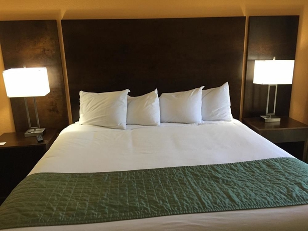 Imagen de la habitación del Hotel Holiday Inn and Suites Boca Raton - North, An Ihg. Foto 2