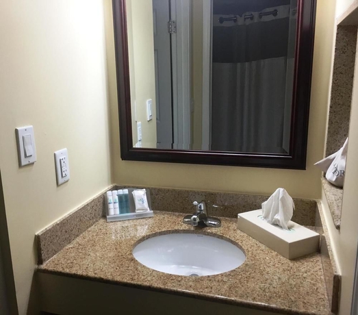 Imagen de la habitación del Hotel Holiday Inn and Suites Boca Raton - North, An Ihg. Foto 4