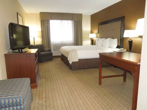 Imagen de la habitación del Hotel Holiday Inn and Suites Chicago-carol Stream (wheaton). Foto 6