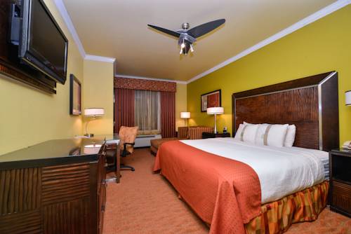 Imagen de la habitación del Hotel Holiday Inn and Suites Mckinney - N Allen, An Ihg. Foto 10